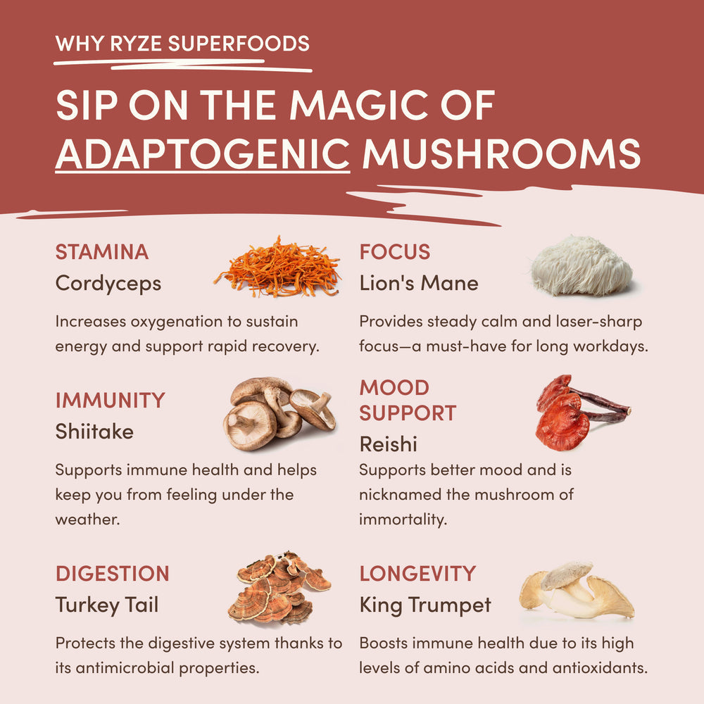 RYZE Mushroom Chicory 30 serving