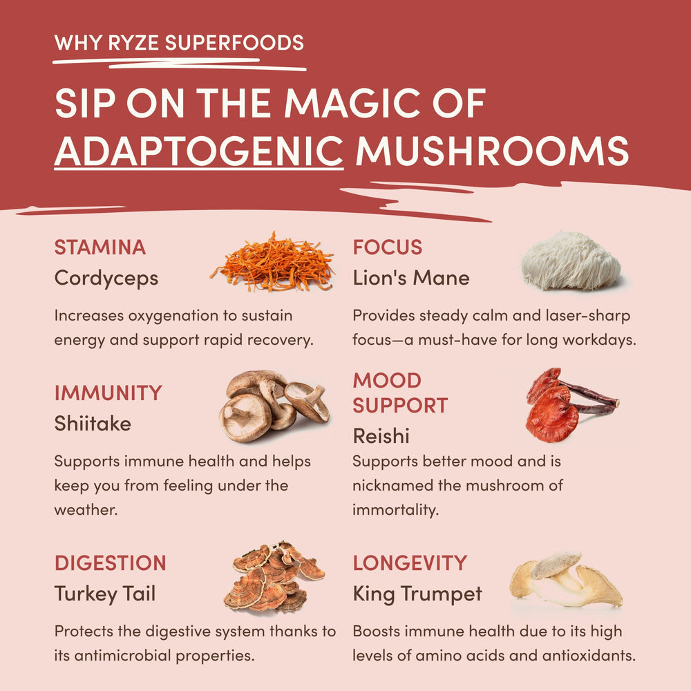 RYZE Mushroom Chai – 20 Servings