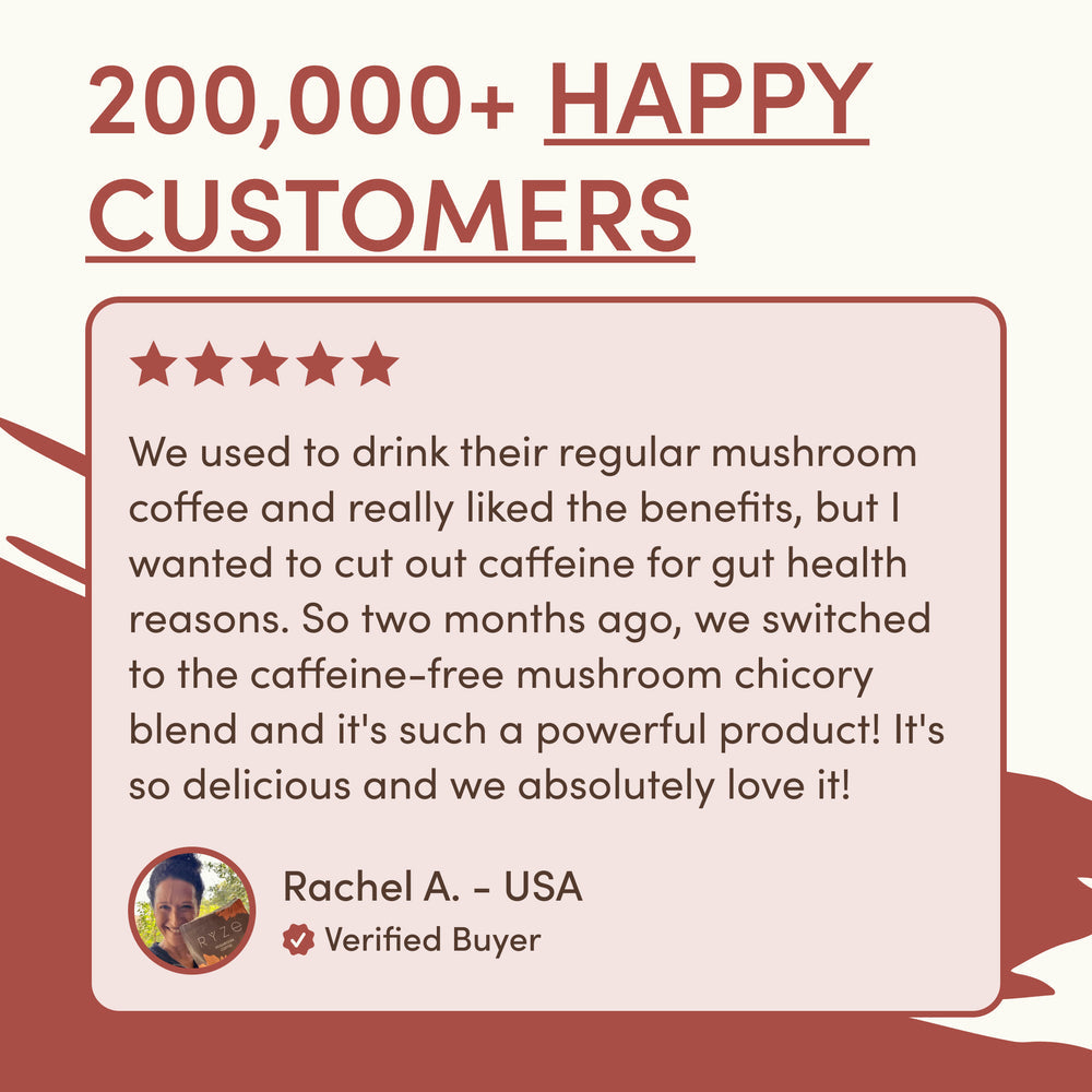 RYZE Chicory Starter Kit – 2× Mushroom Chicory (60 Servings)